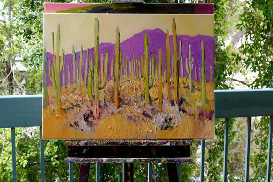 Saguaro Cactuses