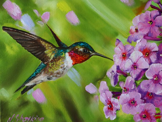 Ruby-throated Hummingbird with Flowers