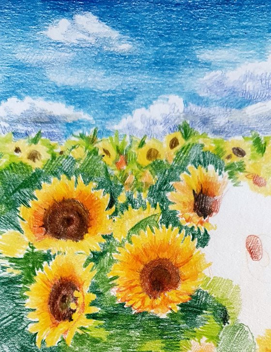 Yellow field of sunflowers