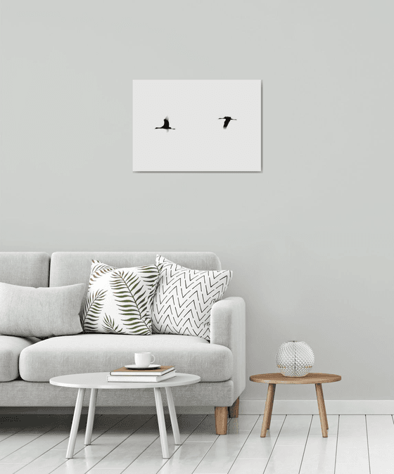 Crane(s) II | Limited Edition Fine Art Print 1 of 10 | 60 x 40 cm