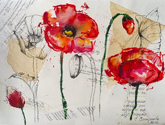 Poppy Flower Collage