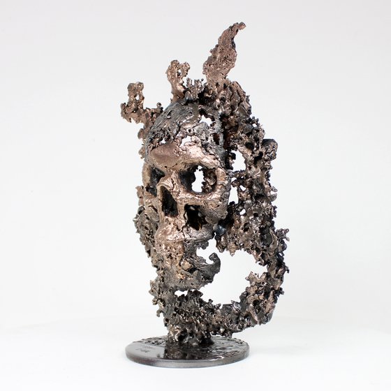 Skull mountain 51-22 - Skull in steel and bronze on a lace metal