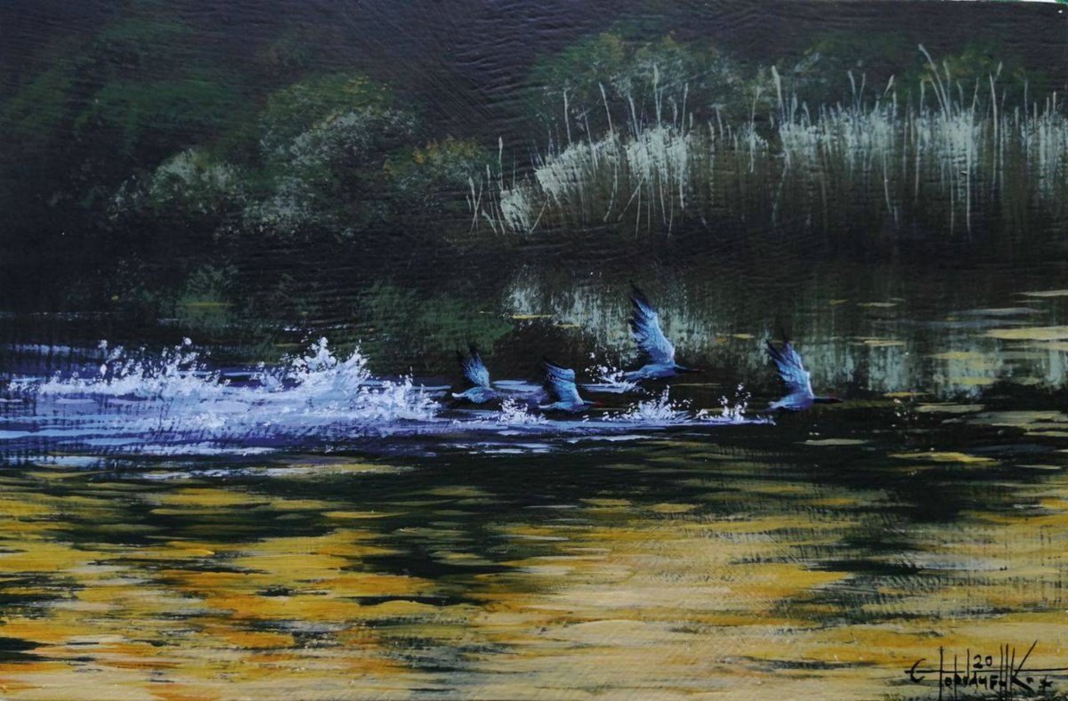 Ducks on the river Acrylic on panel 20x30cm by Eugene Gorbachenko