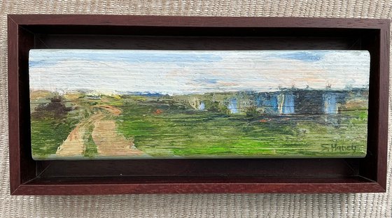 Allotment Landscape