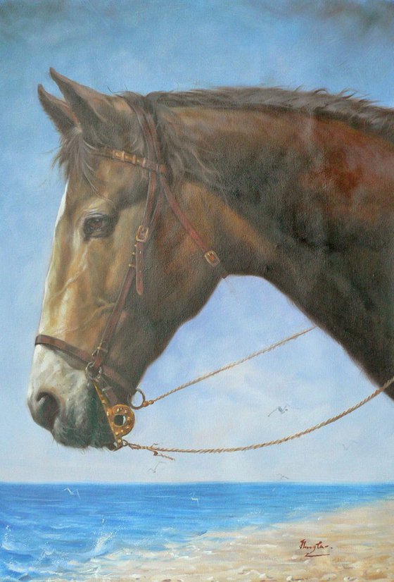 ORIGINAL OIL PAINTING ANIMAL ART HORSE IN SEASIDE ON LINEN #16-10-2-04