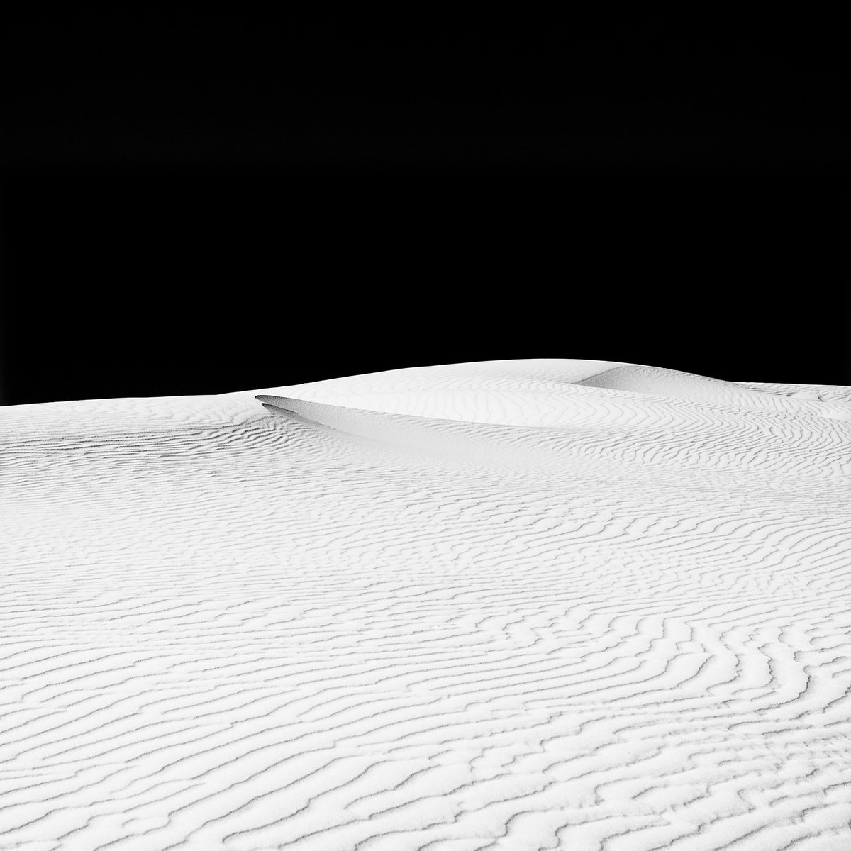 Desert Dune, NM by Heike Bohnstengel