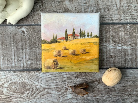 Golden Fields of Tuscany