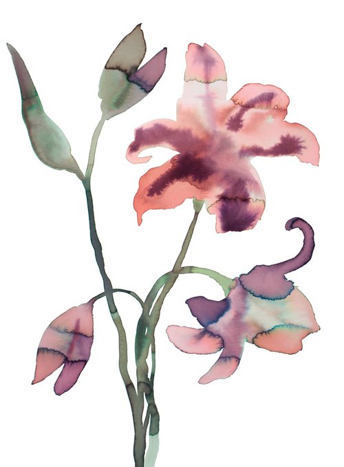 Lilies by Elizabeth Becker