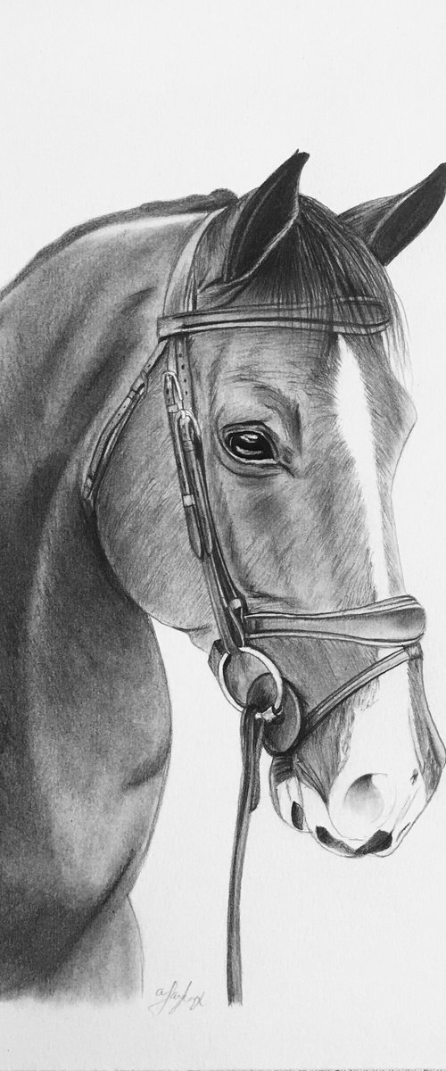 Horse no 3 by Amelia Taylor
