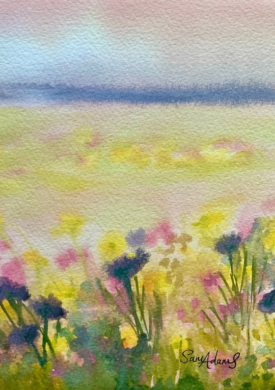Sun kissed flower meadow