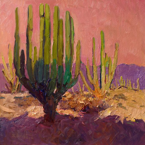 After the Heat. Dasert Evening