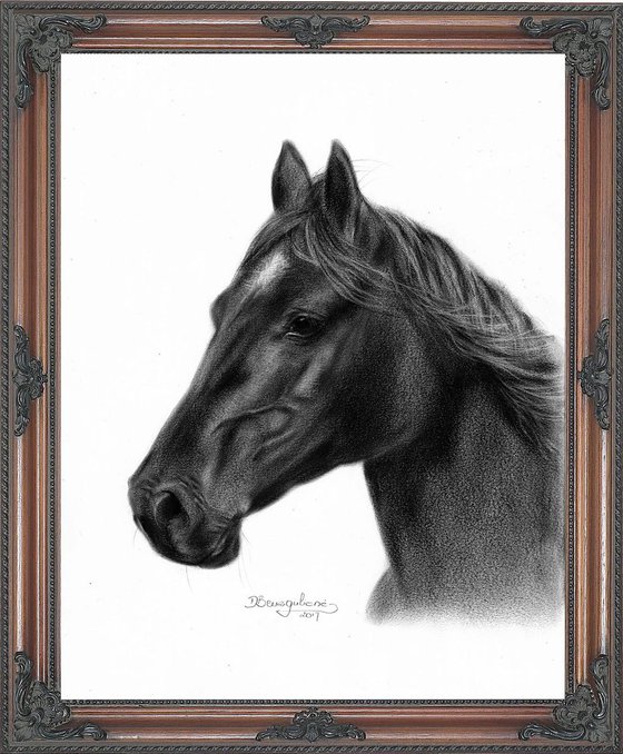 Oil painting ,, Black horse,,
