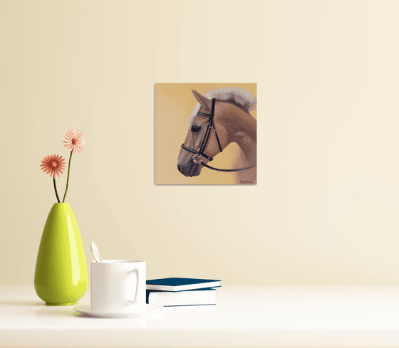 Horse Portrait 66