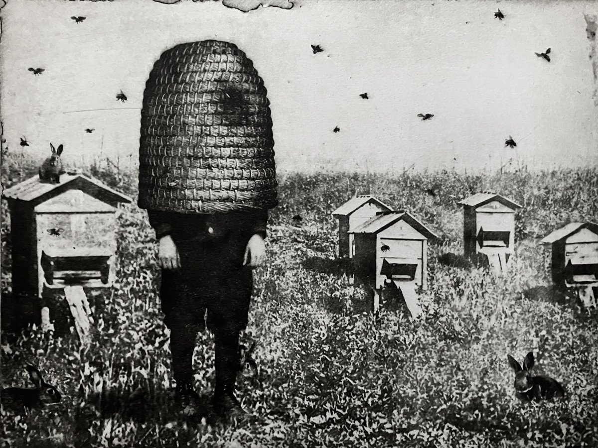 Surrealistic Portrait Etchings & Engravings By Jaco Putker, 13 X 10, Brood I, Original Artwork