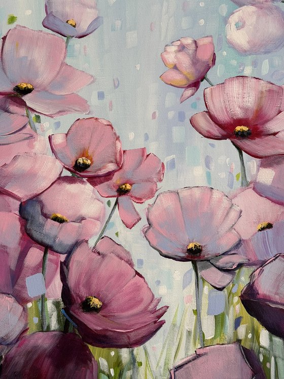 Poppies Land 16