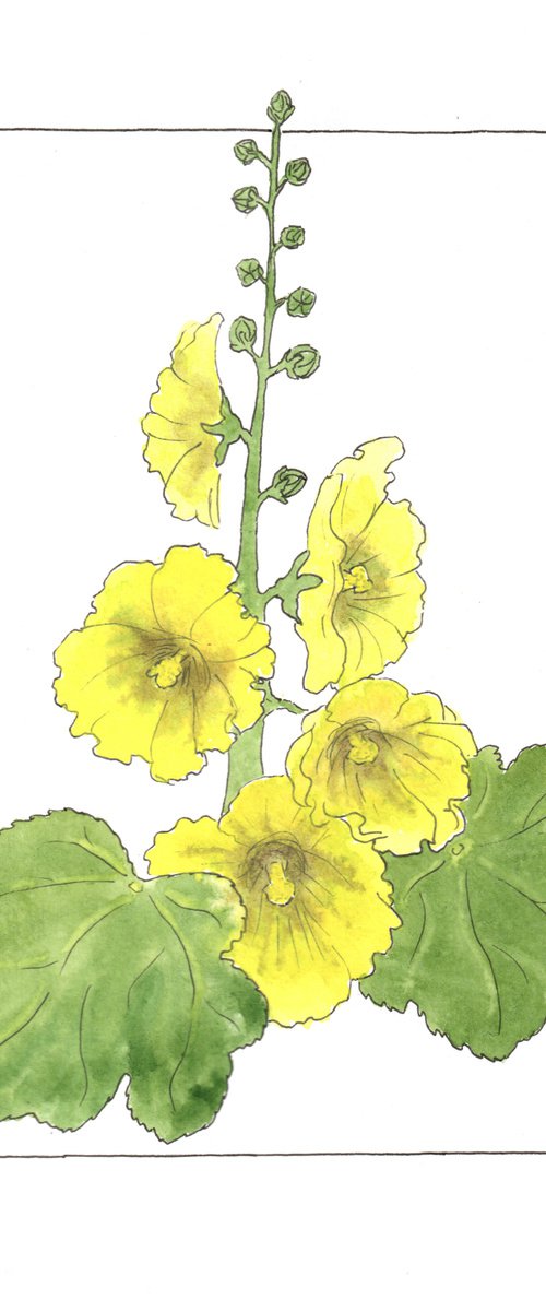 Flowers original watercolor - Yellow mallow illustration - Floral mixed media drawing - Gift idea by Olga Ivanova