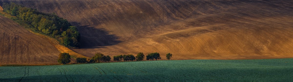 Photorealistic Landscape Photograph By Pavel Oskin, 126 X 35", The Wave 3, Original Artwork