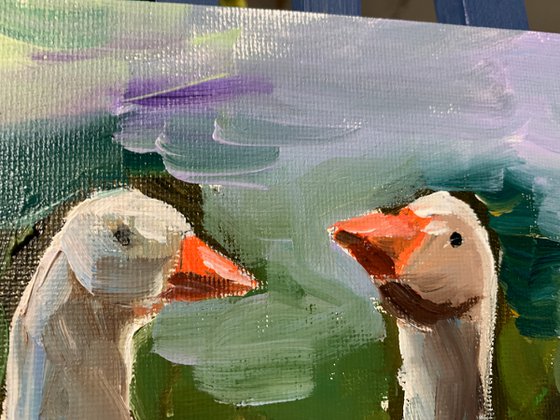 Geese.