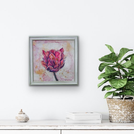 Framed Pink Tulip 50