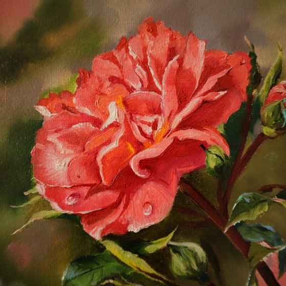 Rose Painting Floral Botanical