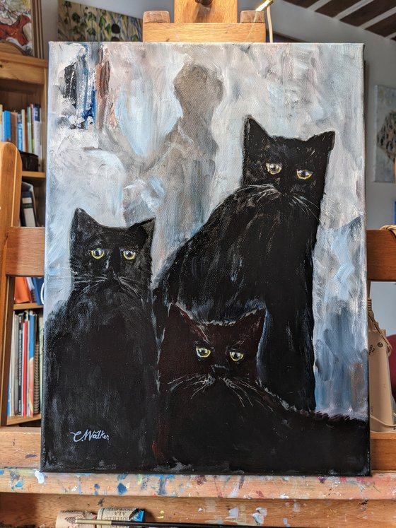Aloof - Three Cats