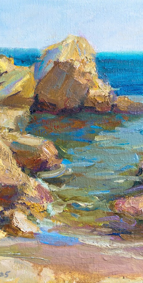 Sammer day by Olga Samar