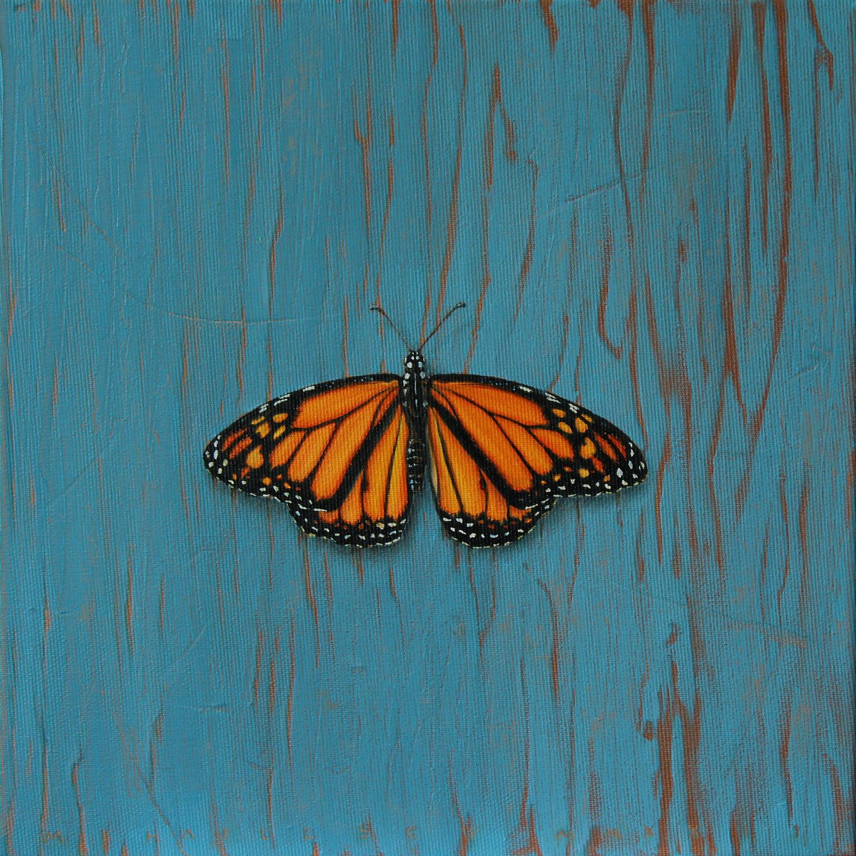 Photorealistic Animal Oil Painting By Ciprian Mihailescu, 12 X 12, Fragile Iv, Original Artwork