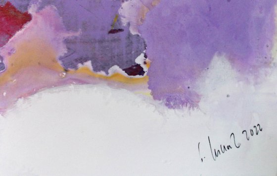 THE FREENZY OF COLOURS