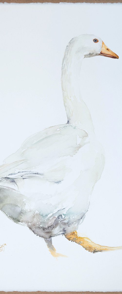 Goose by Andrzej Rabiega