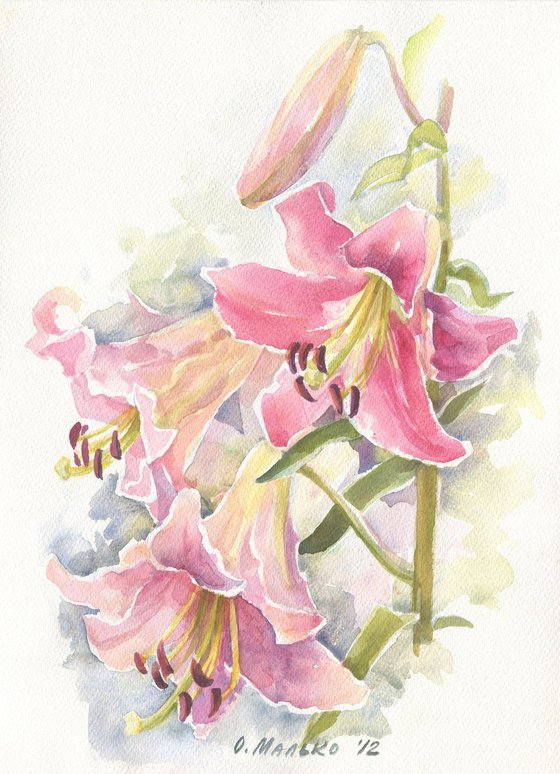 Pink lily / ORIGINAL watercolor 11x15in (28x38cm)