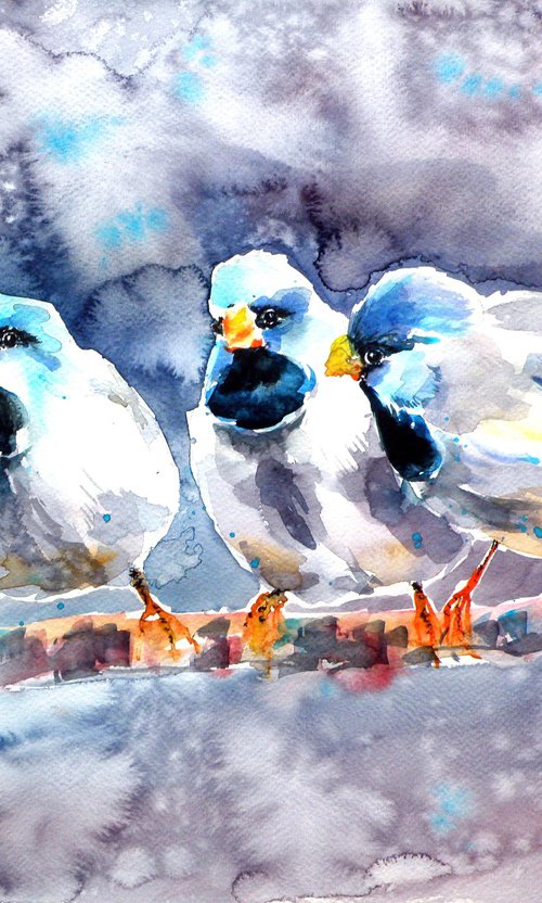 Talking birds - by Kovács Anna Brigitta
