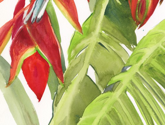 Hummingbird and Tropical Flowers