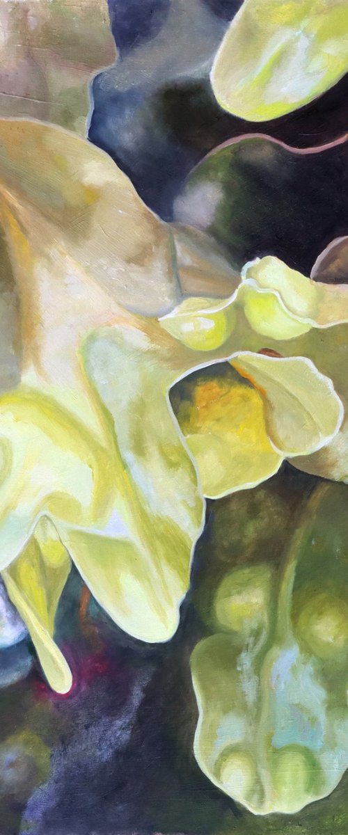 Seaweed 26 by Carole King