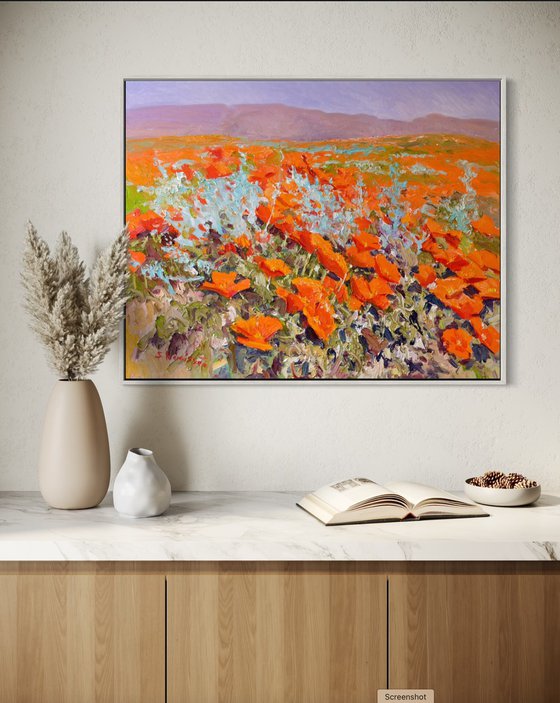 California Poppies