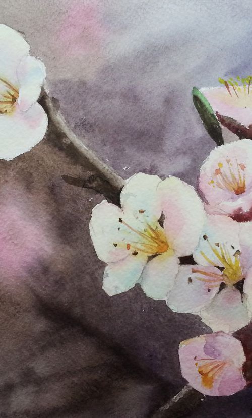 Cherry Blossoms -  Sakura - Ch by Olga Beliaeva Watercolour