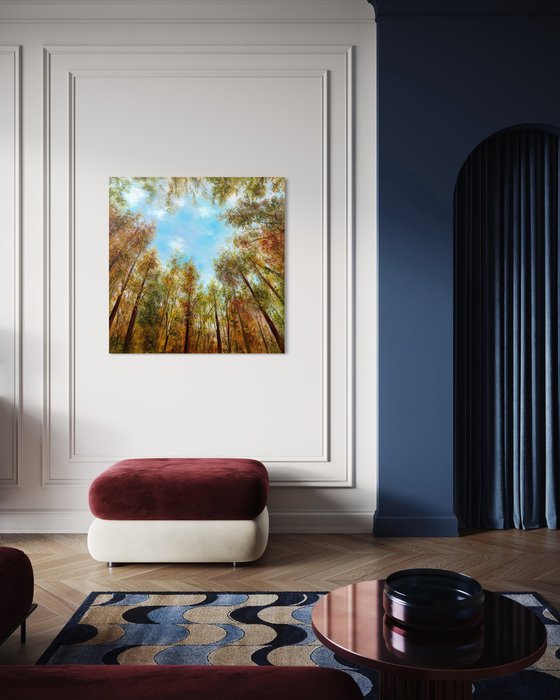 Where the Sky Begins