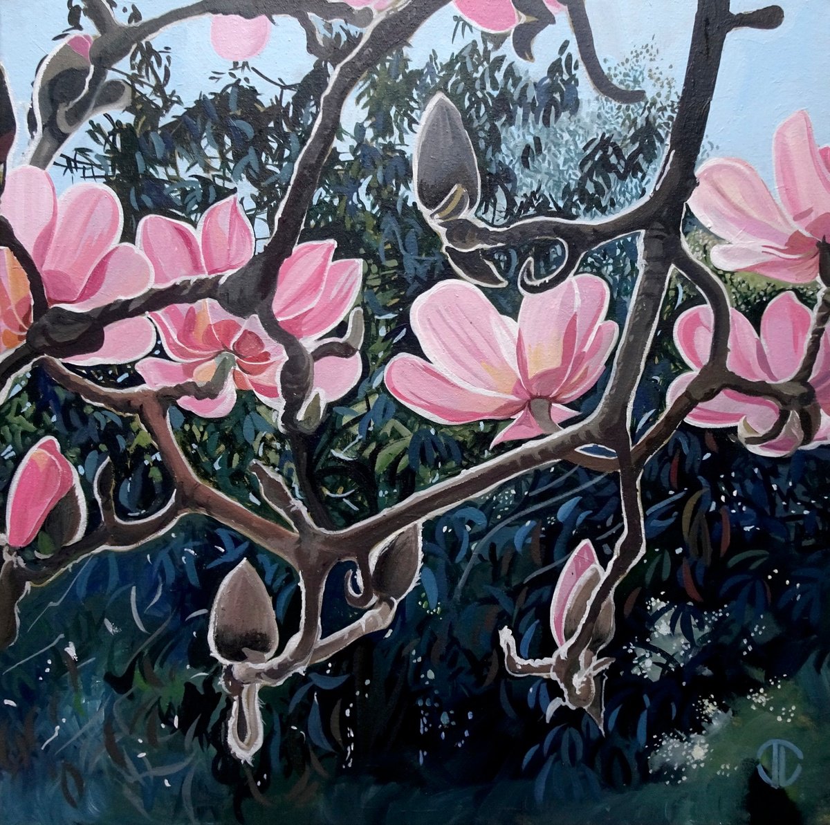 Impressionistic Botanical Acrylic Painting By Joseph Lynch, 20 X 20, Magnolia Campbelli, Original Artwork