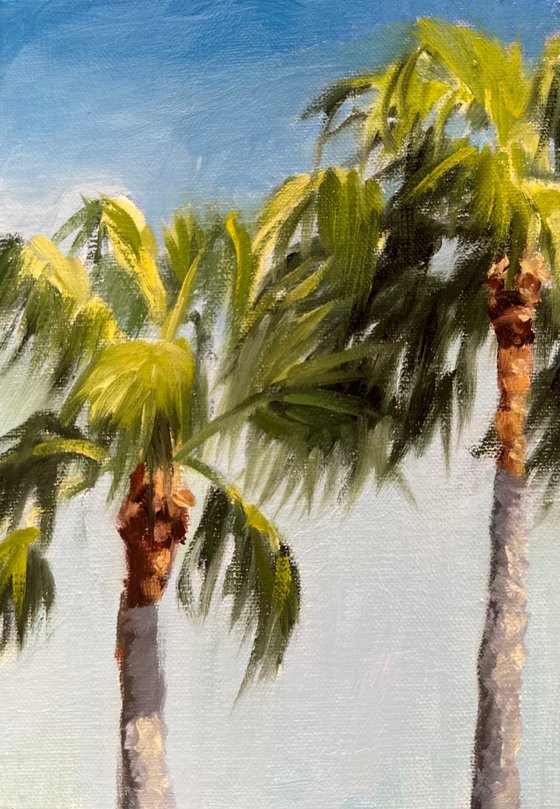 Palms