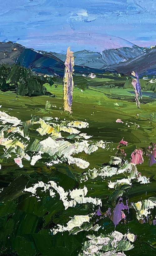 Flowering Mountain Fields by Boris Serdyuk