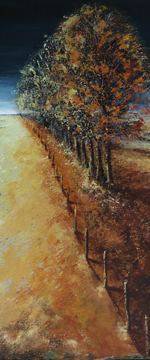 The Lines of Autumn - Fields and Colors Series by Danijela Dan