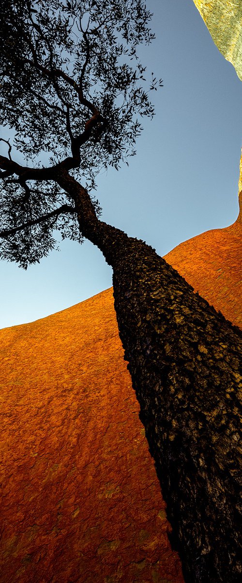 Uluru Jarrah by Nick Psomiadis