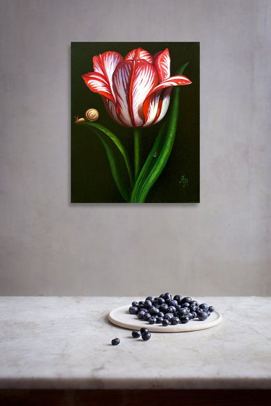 Tulip and snail