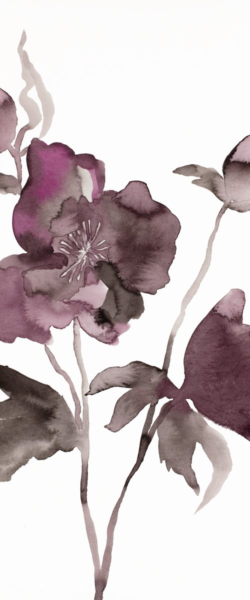 Hellebore No. 11 by Elizabeth Becker