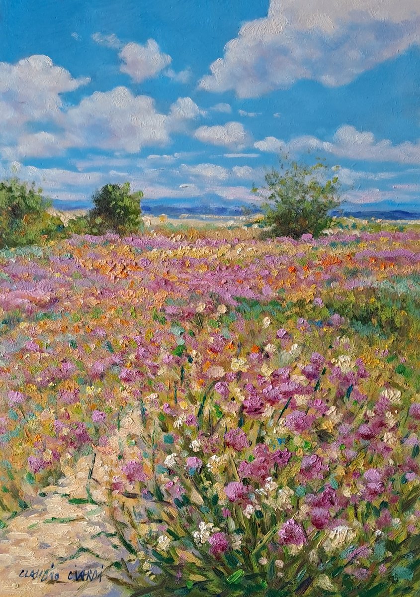 Impressionistic Botanical Oil Painting By Claudio Ciardi, 10 X 14, Fields Of Flowers, Original Artwork
