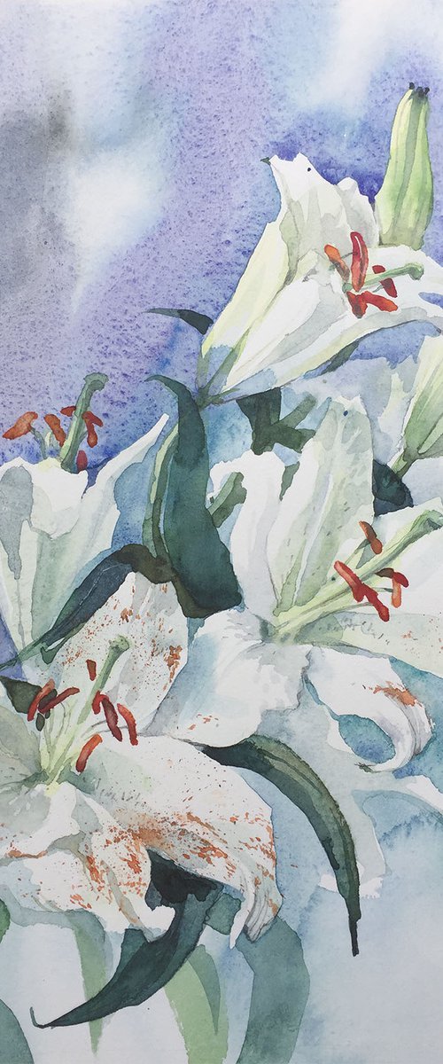 White Lilies on Blue by Svetlana Kilian