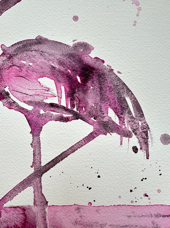 Flamingo