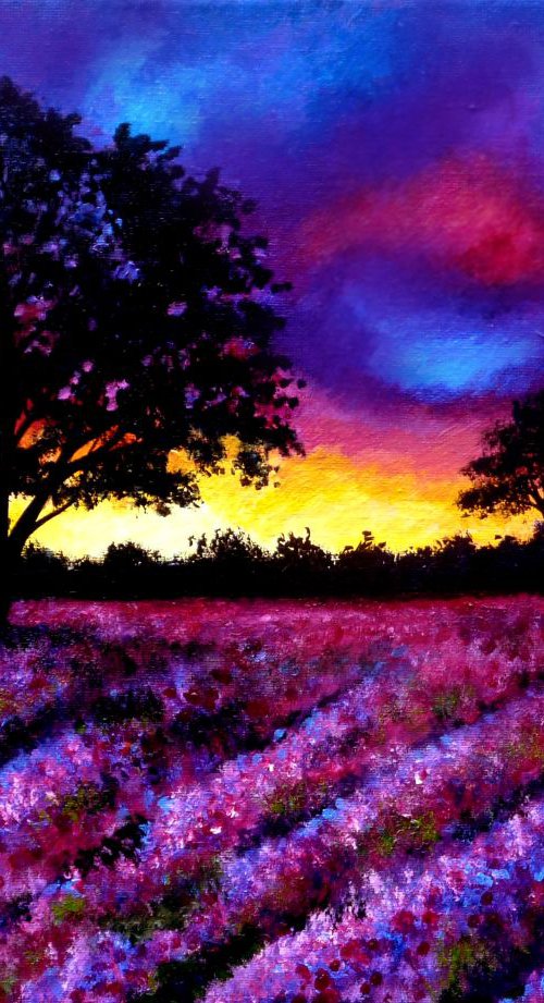 Lavender sunset by Linzi Fay