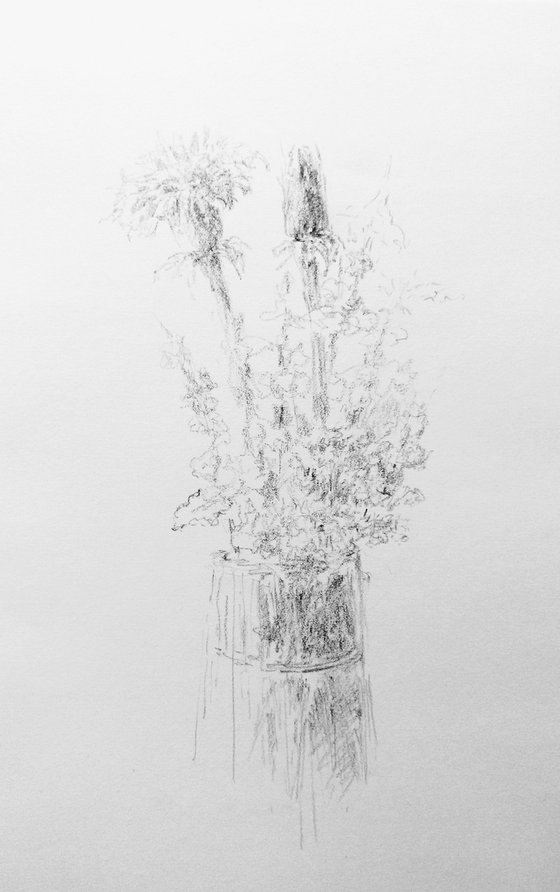 Dandelions. Original pencil drawing