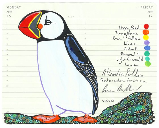 Birds of Europe: Atlantic Puffin