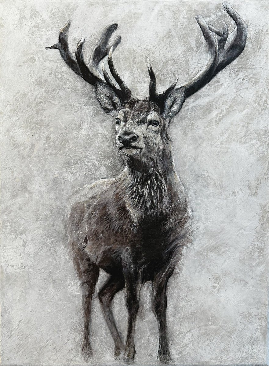 Stag at Winter by Paul Hardern